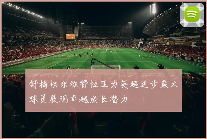 舒梅切尔称赞拉亚为英超进步最大球员展现卓越成长潜力